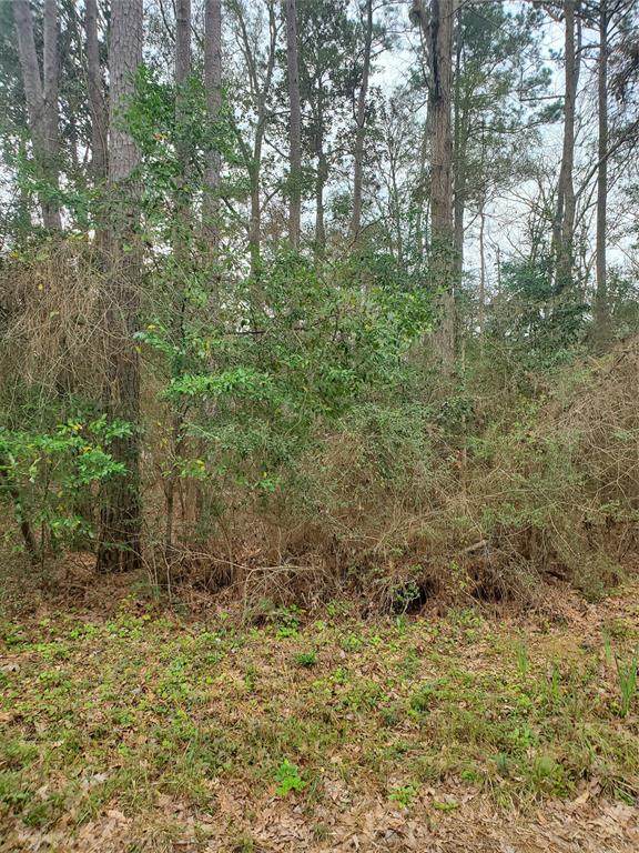 0 Swick Trail - Photo 1