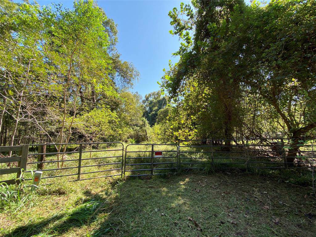 19807 Deer Run Road - Photo 1