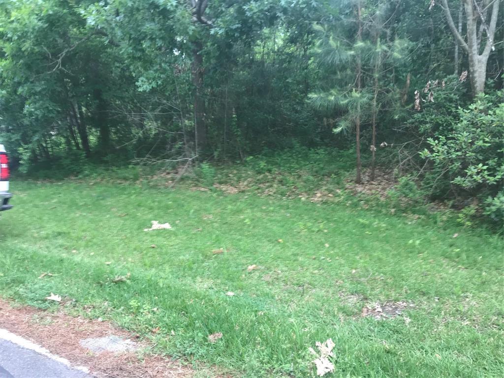 0 Live Oak Court - Photo 1