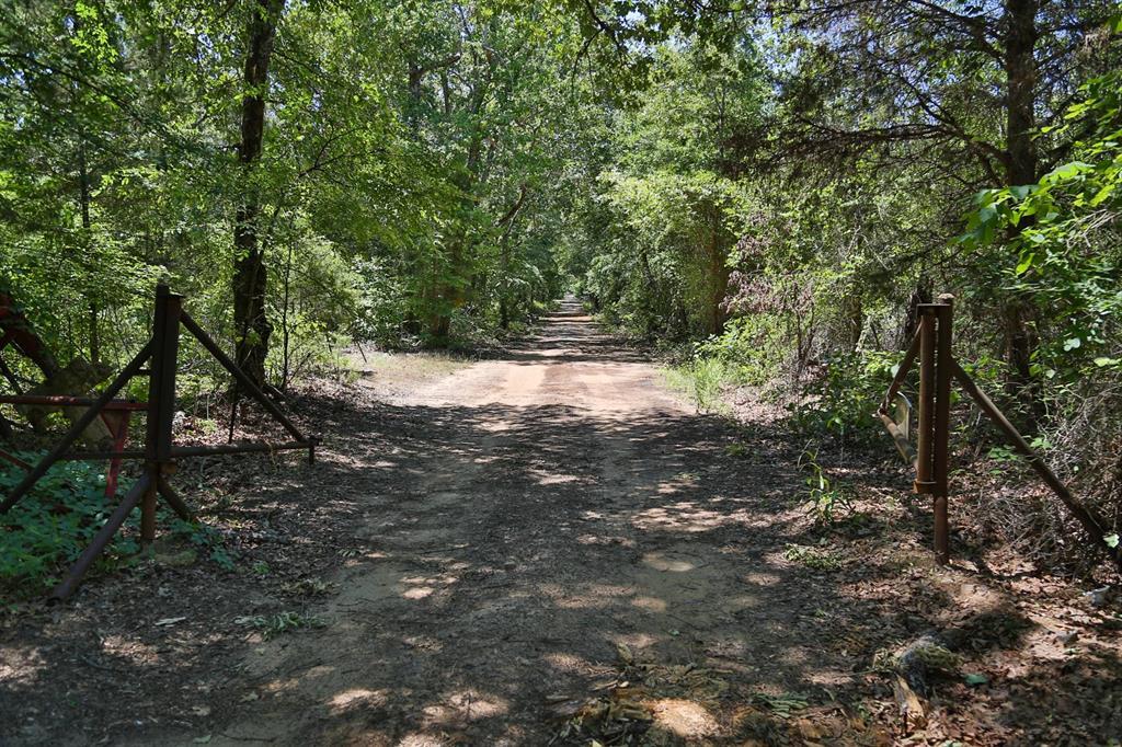 41 Ac Azalea Rd - Photo 1