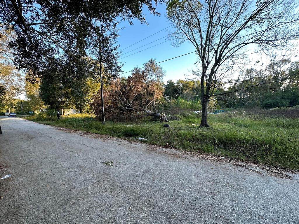 0 Martin Luther King Drive - Photo 1
