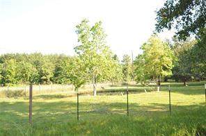 10955 Daw Collins Road - Photo 1