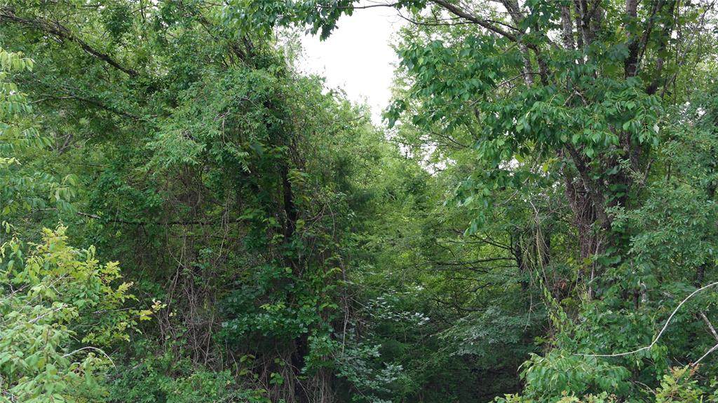 TBD-0 N I 45 Feeder Road - Photo 1