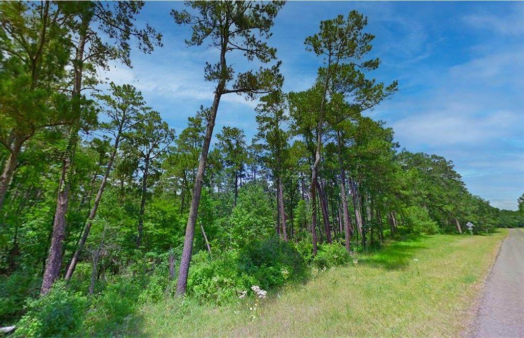 Lot 39 County Road 4921 - Photo 1