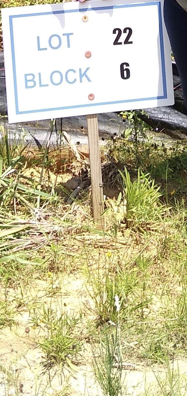 65 Coyote Run Road - Photo 1