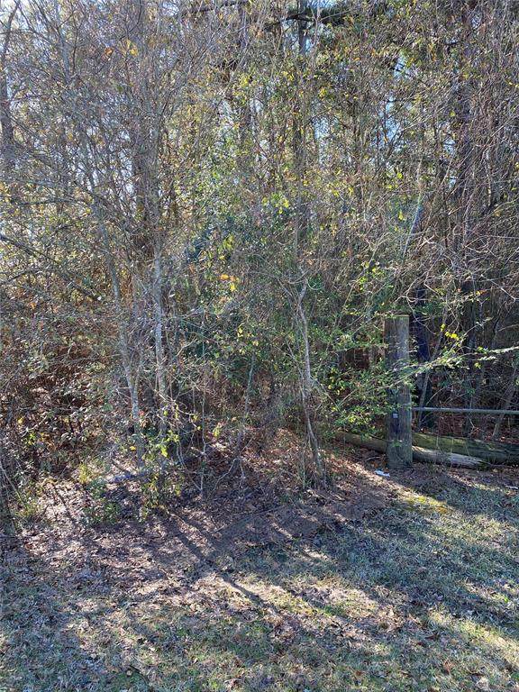0 Corral Drive - Photo 1