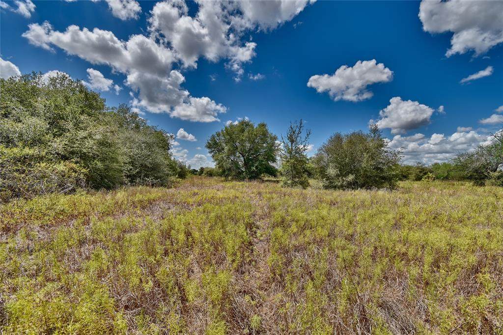 TBD-4 Highway 71 - Photo 1