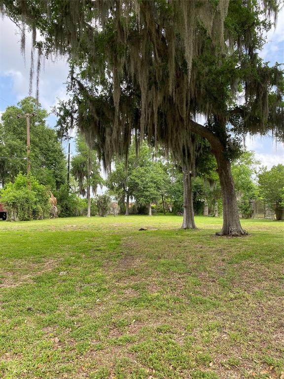 9018 Cliffwood Drive - Photo 1