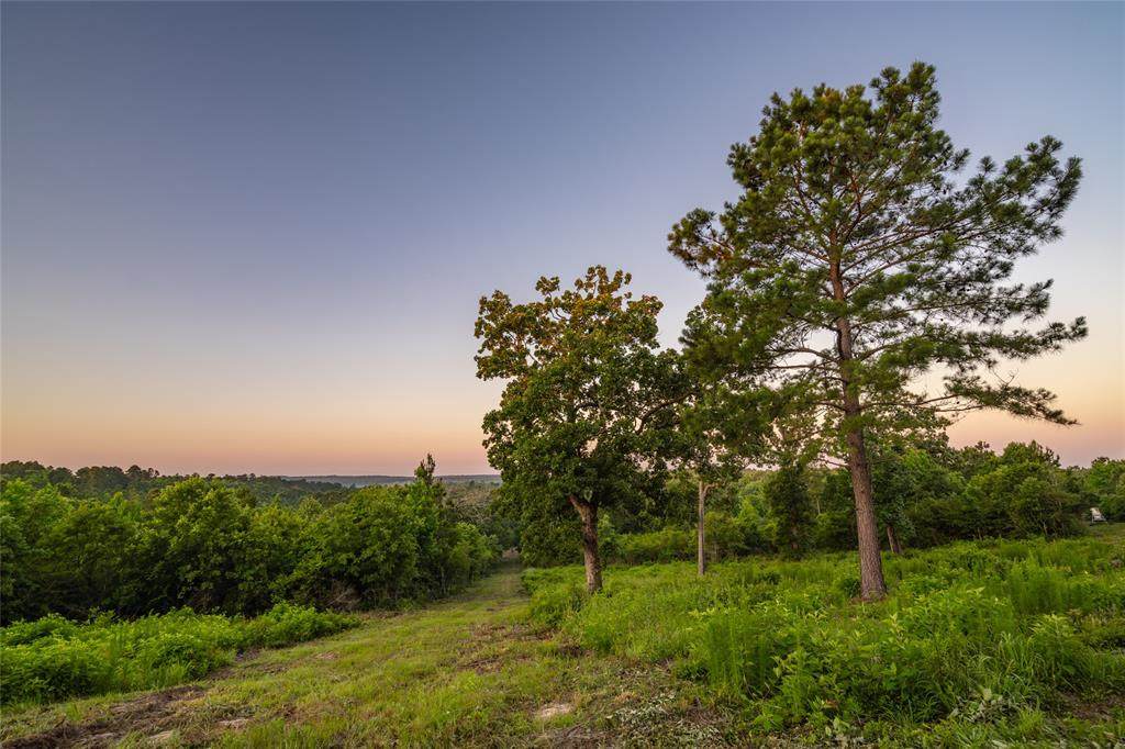 0 County Rd 2159 - Photo 1