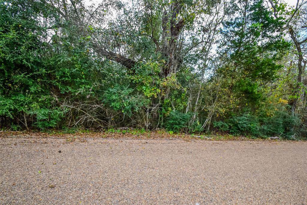 0000 Krischke Road - Photo 1