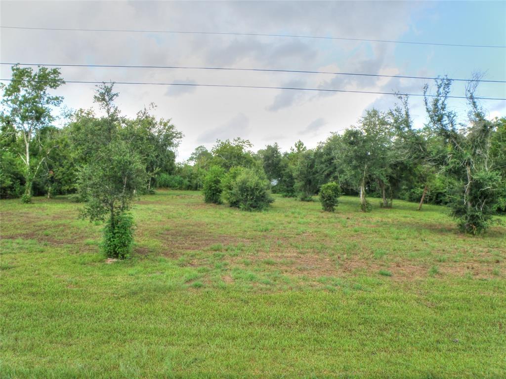 5610 Bellaire Street - Photo 1