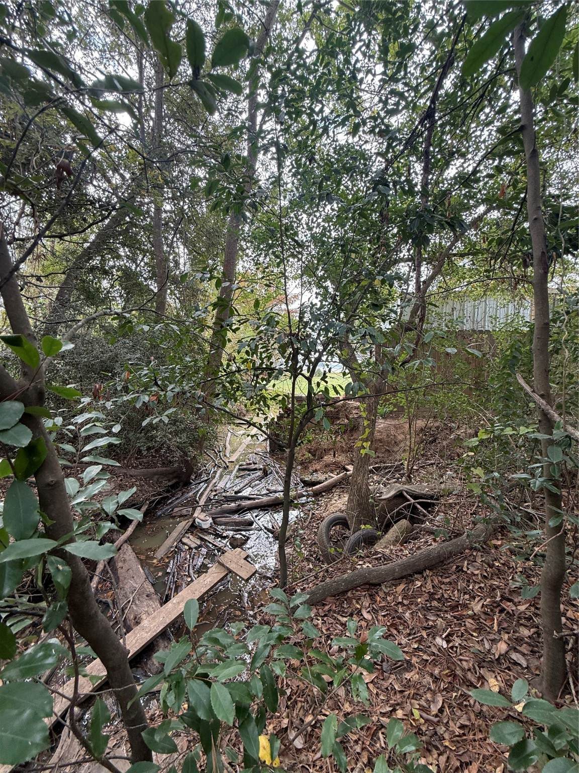 0 Sequoia Drive - Photo 1