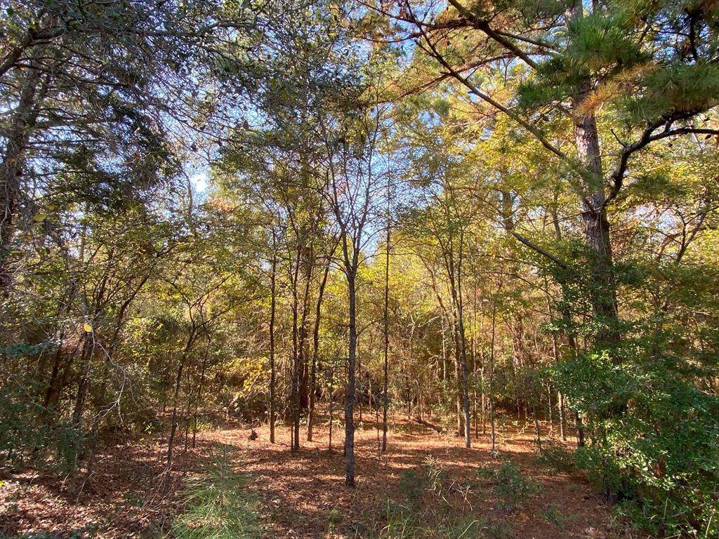 18 ac Cr 119 - Photo 1