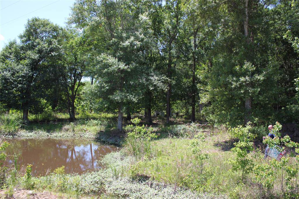 TBD County Road 3011 - Photo 1