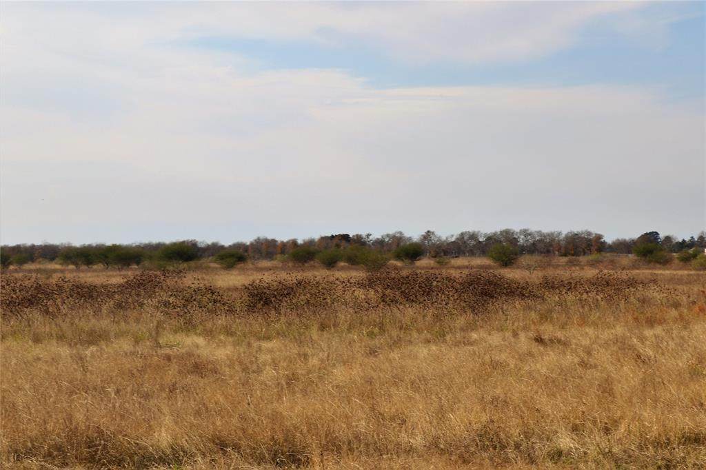 10969 Kerr Road - Photo 1