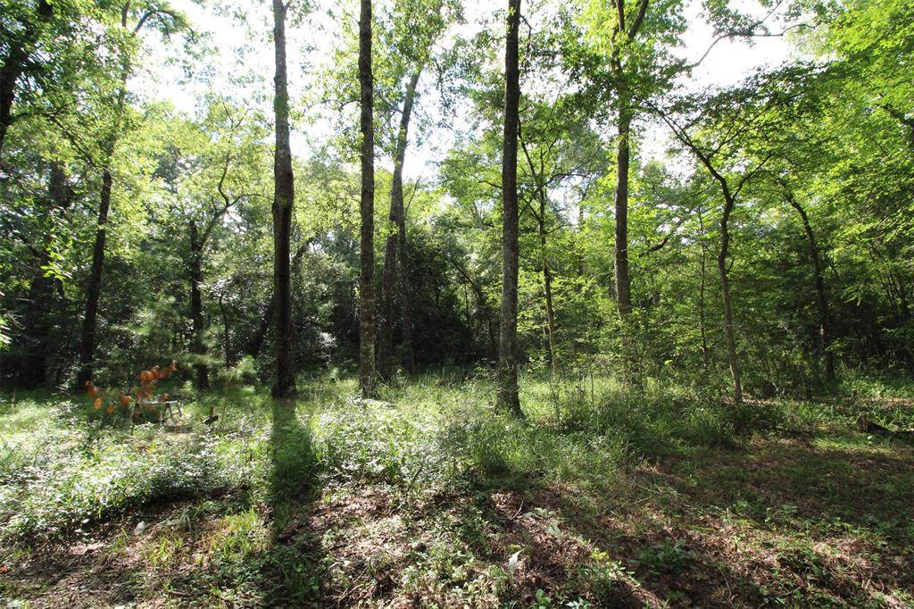 TBD Pine Creek Road - Photo 1