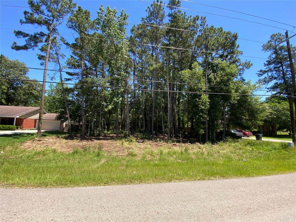 18645 Summer Hills Boulevard - Photo 1