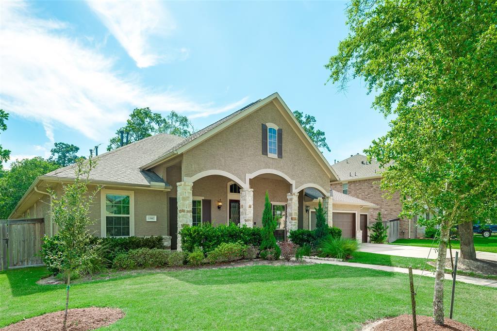13002 Freemont Peak Lane - Photo 1