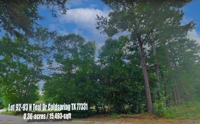 Lot 92-93 Teal Drive - Photo 1