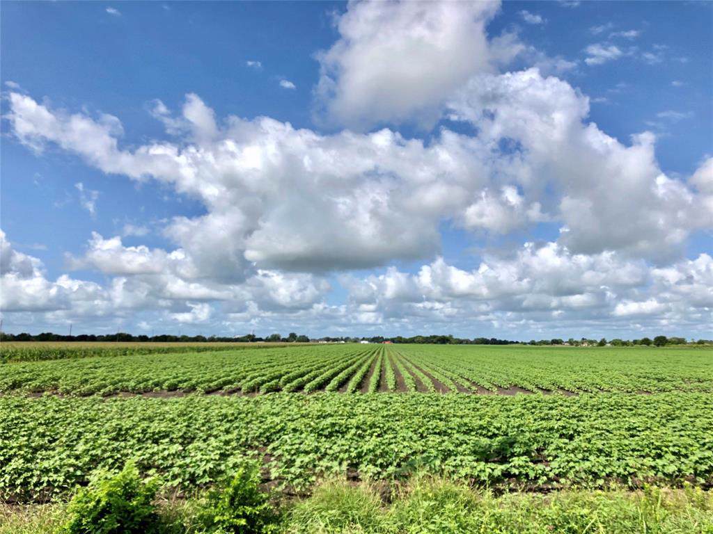 9905 Fm 361 Road - Photo 1