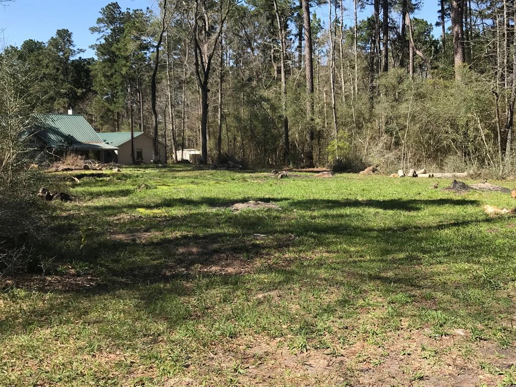 000 Lot 7 Mound - Photo 1