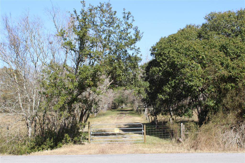 5603 Fm 2917 Road - Photo 1
