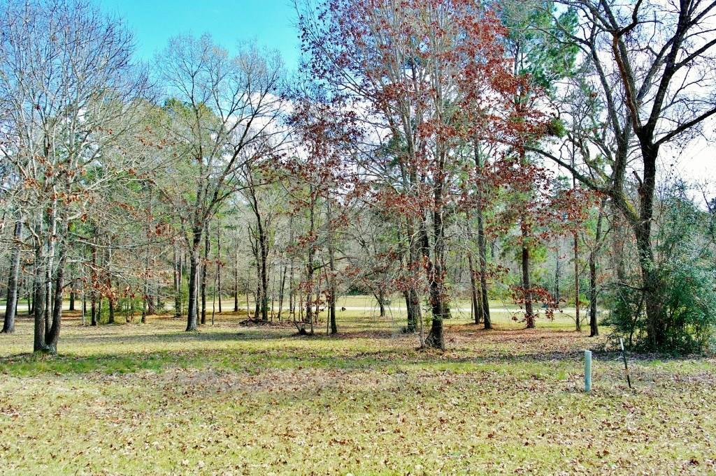 92 Hillsborough Drive - Photo 1