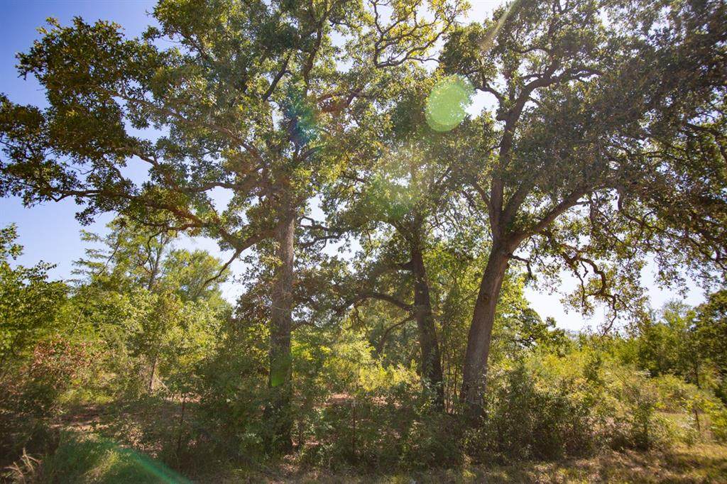 000 Morgan Spur - Photo 1