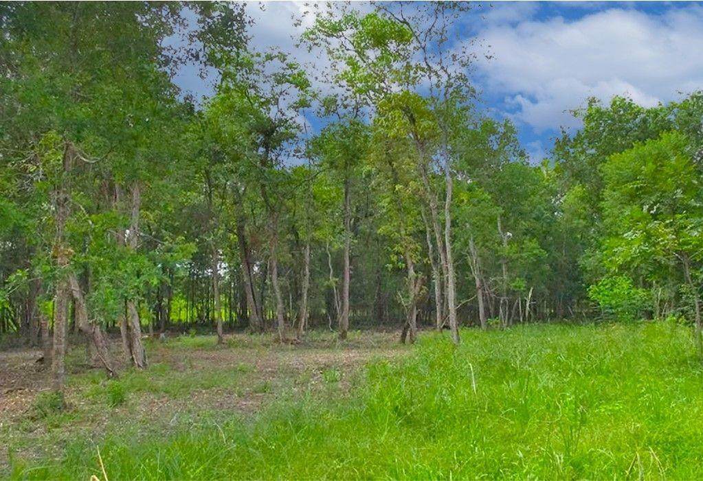 505 County Road 728C - Photo 1