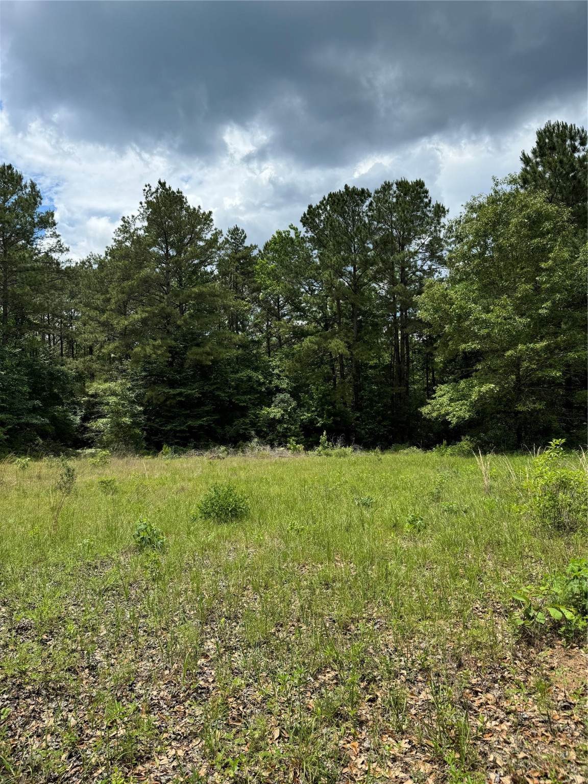 2511 County Road 4280 - Photo 1