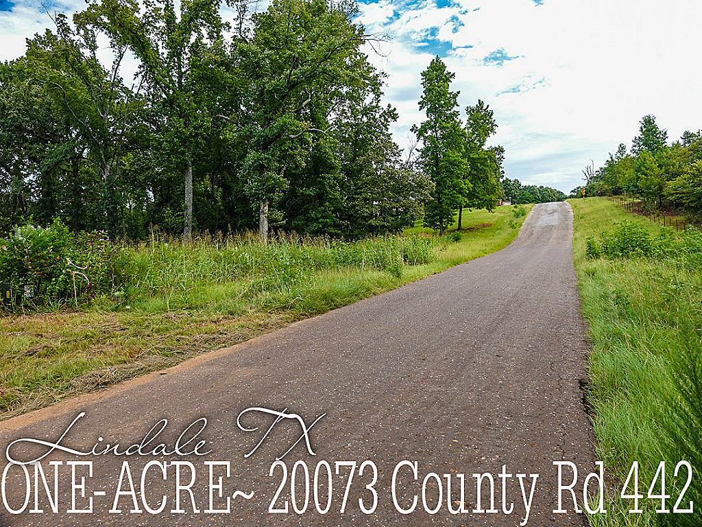 20073 County Rd 442 - Photo 1