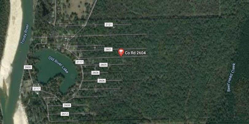 000 County Road 2604 Magnolia - Photo 1