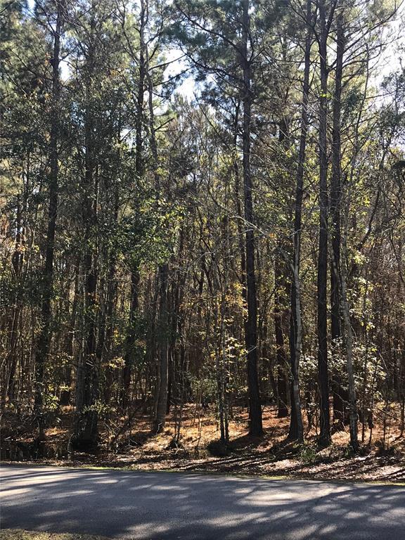Lot 9 Roman Forest - Photo 1
