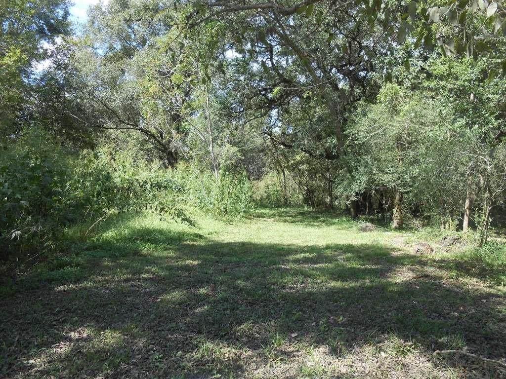 0 Bernard River Drive - Photo 1