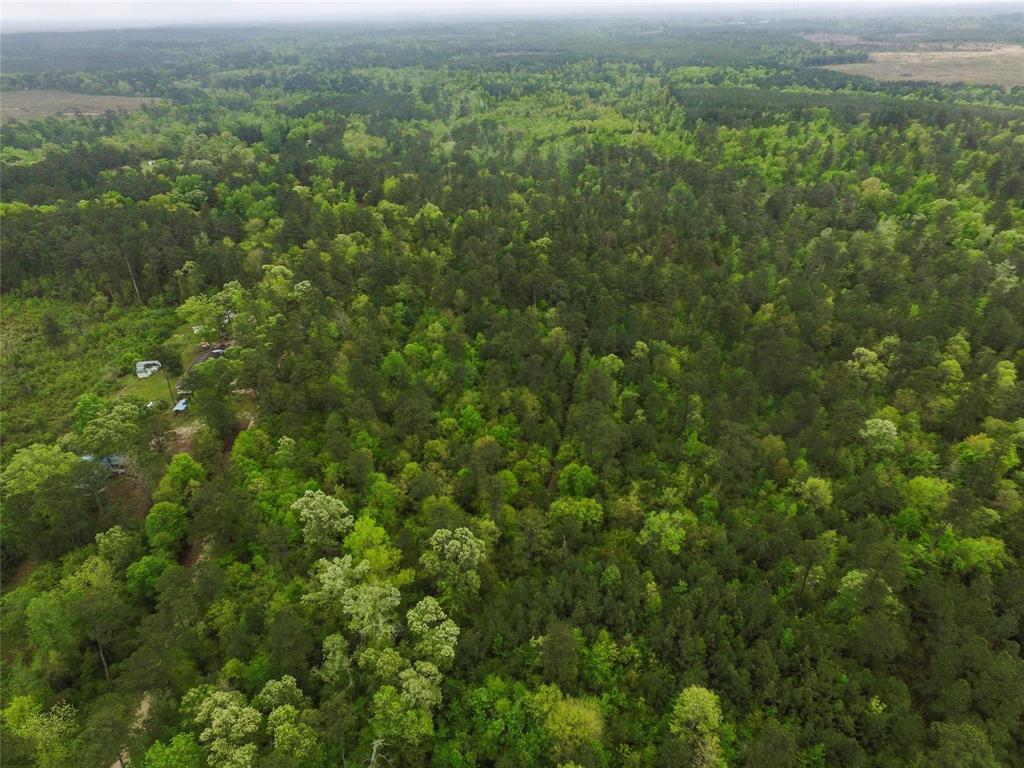 0 County Rd 2125 Drive - Photo 1