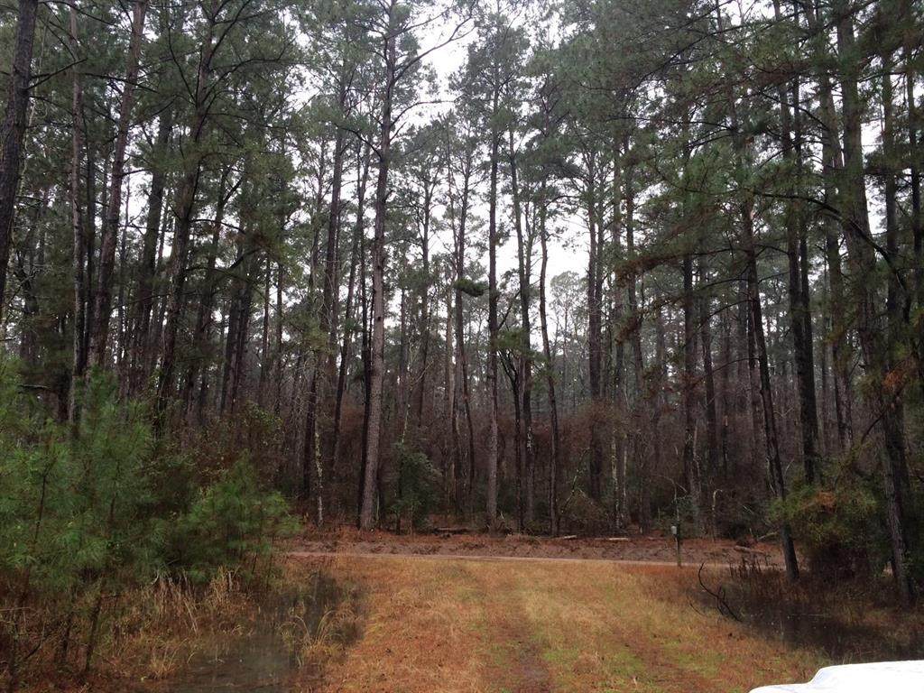 1556 Magee Bend Loop - Photo 1