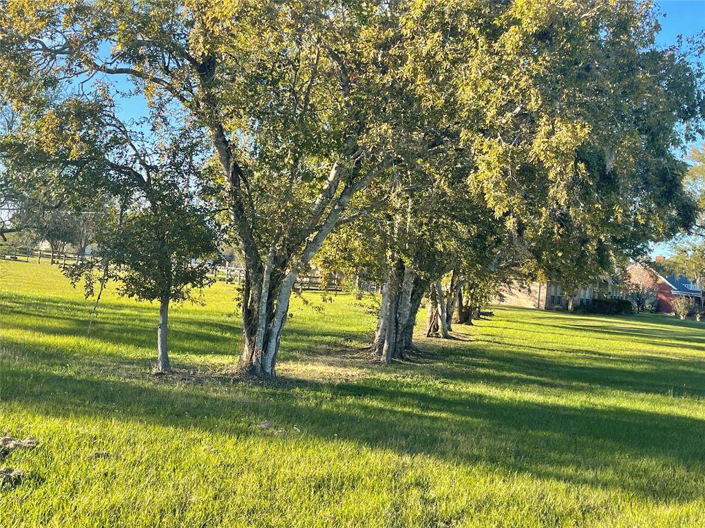 7310 Rolling Meadow Drive - Photo 1