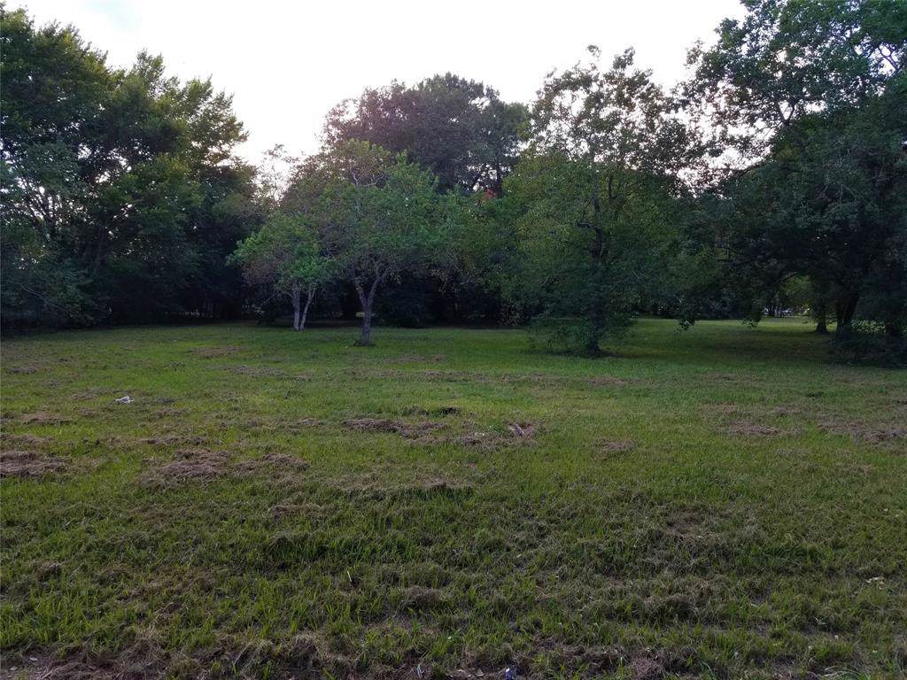 4410 Mockingbird Lane - Photo 1