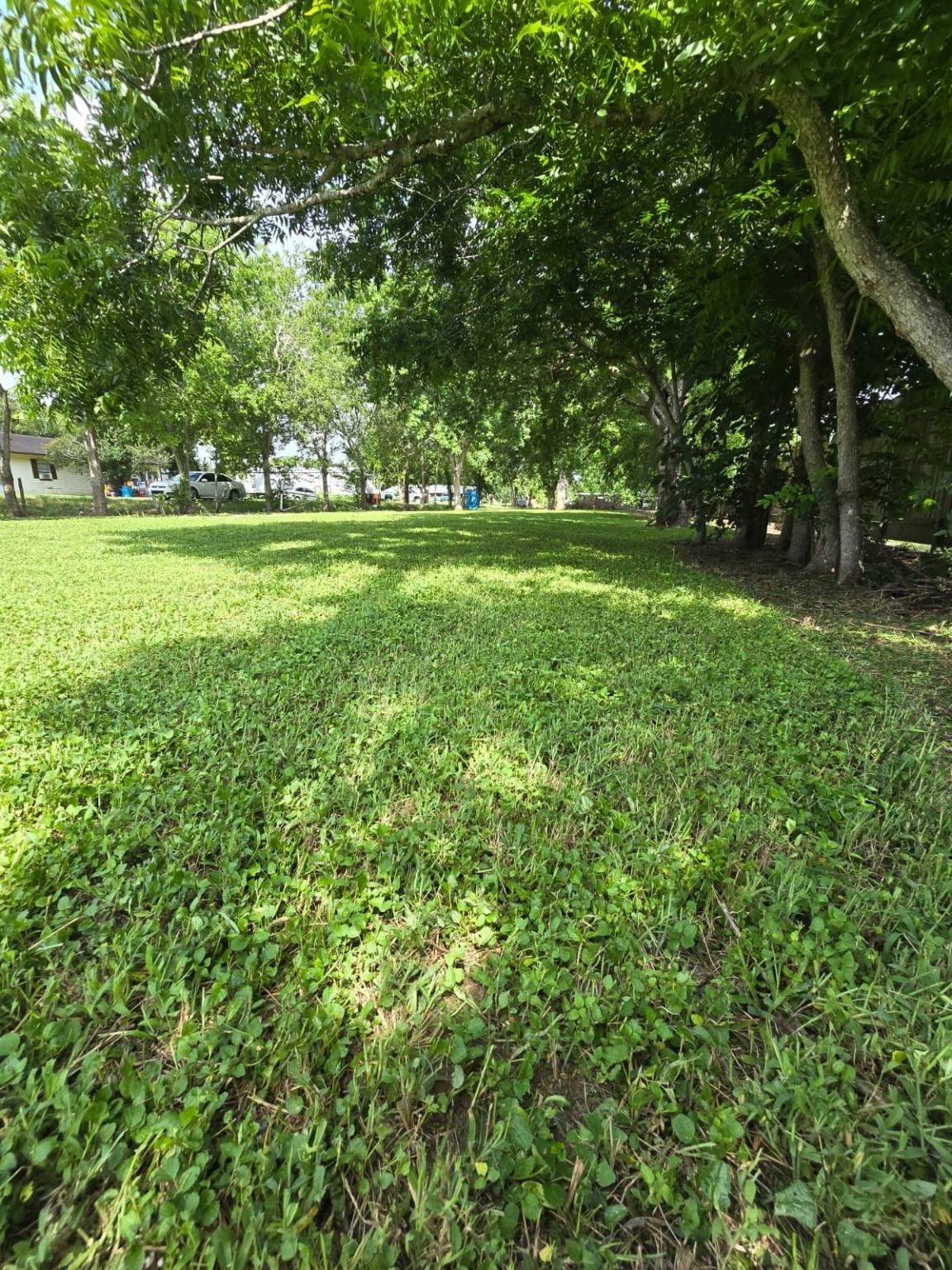 333 Gonyo Lane - Photo 1