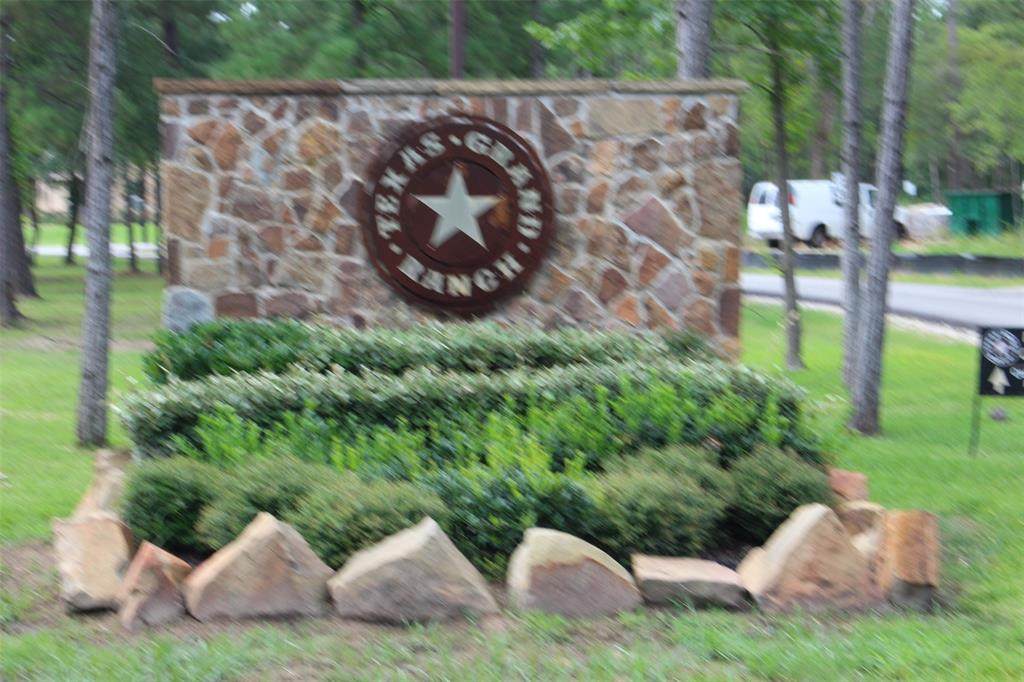 000 Texas Grand Road - Photo 1
