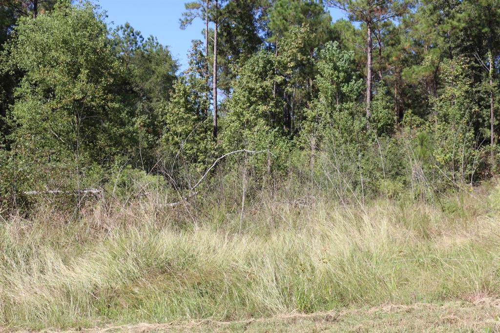18 Hodge Bottom - Photo 1