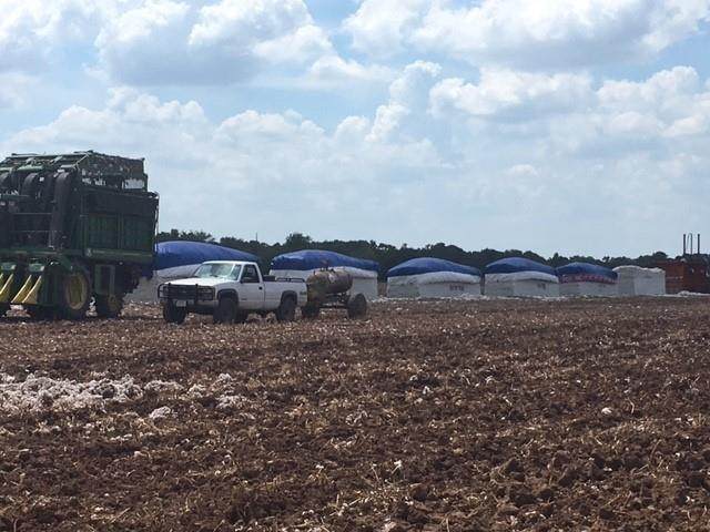 2844 Fm 331 Road - Photo 1
