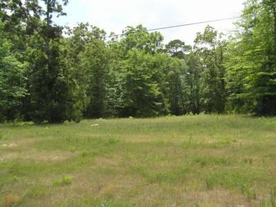 TBD Hwy 190 W - Photo 1