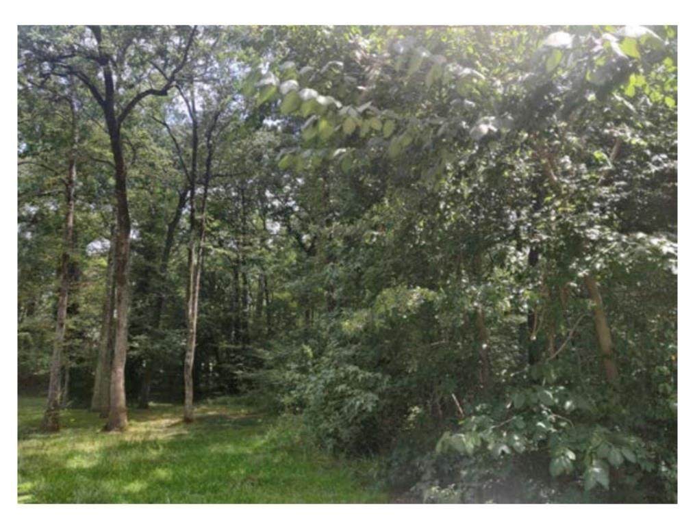 17 Brandon Road - Photo 1