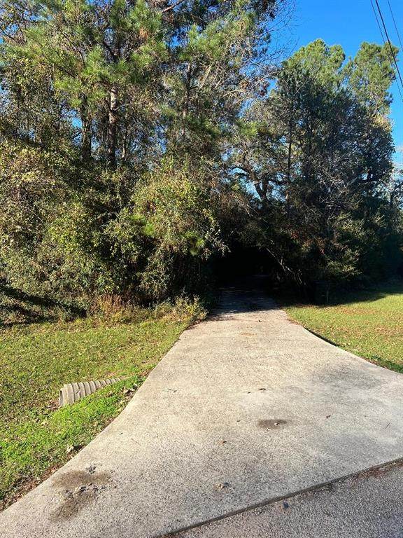 25411 Holly Oaks Court - Photo 1