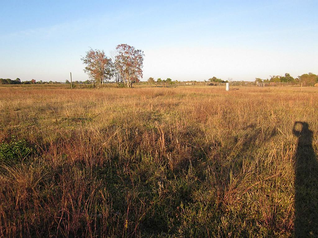 3300 Hwy 6 - Photo 1
