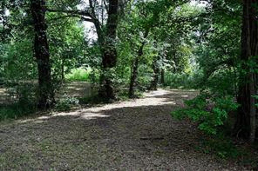 TBD Beaver Den - Photo 1