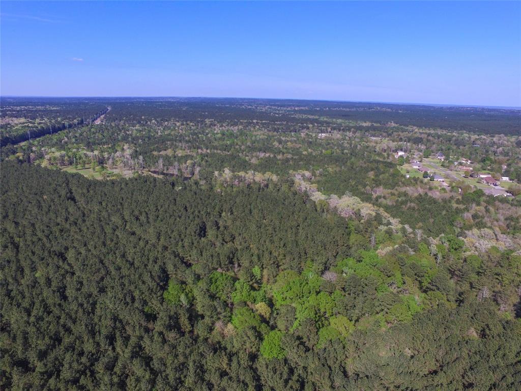 000100 Yarborough Loop - Photo 1