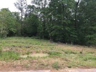 525 County Raod 6324 - Photo 1