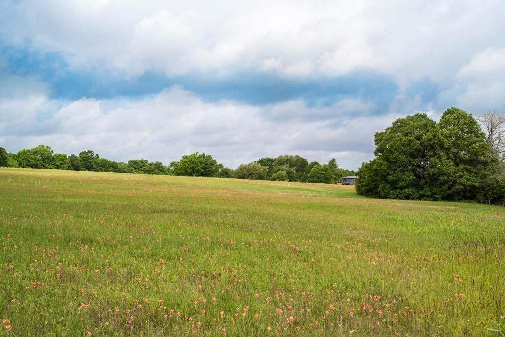 20727 Pickens Rd Road - Photo 1